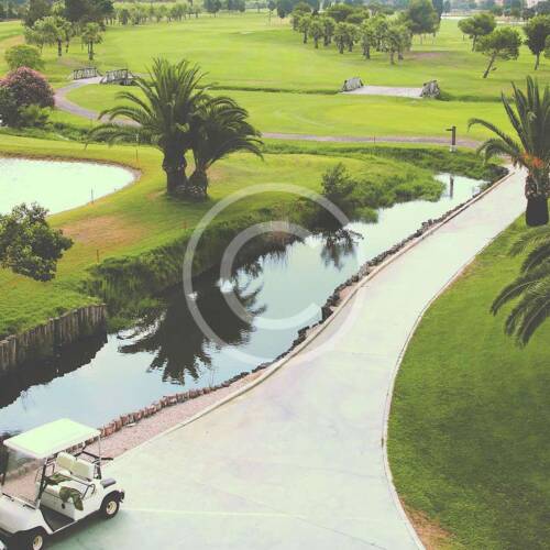 Golf course lakes palm trees aerial view